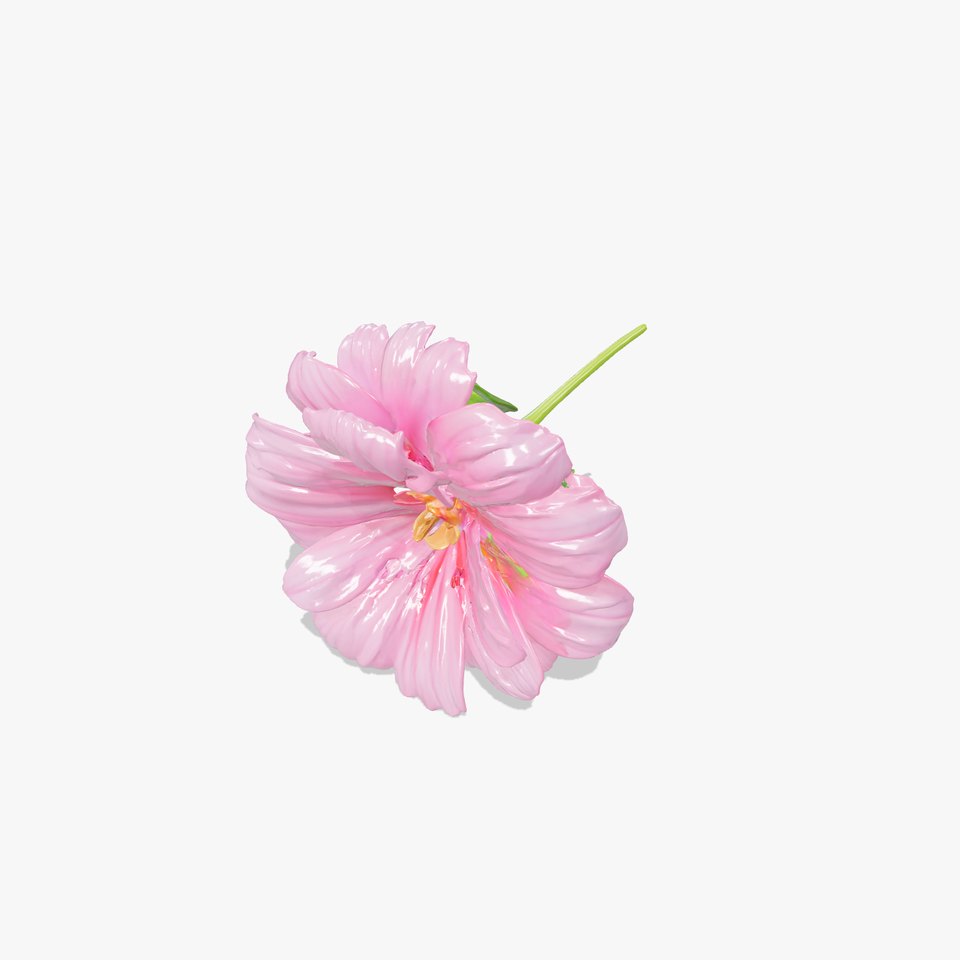 Dianthus Pink Flower Petals model pack